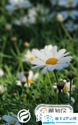 电脑桌面什么都没有了怎么办