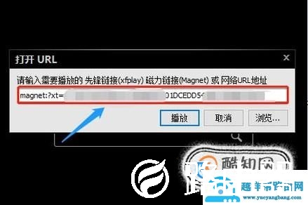 如何怎样使用影音先锋看片