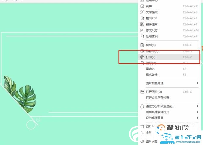 怎么调整打印的图片的规格