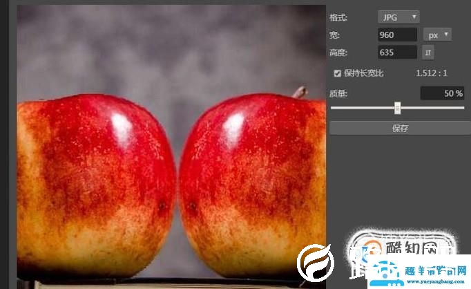 在线图片编辑器怎么制作镜像效果