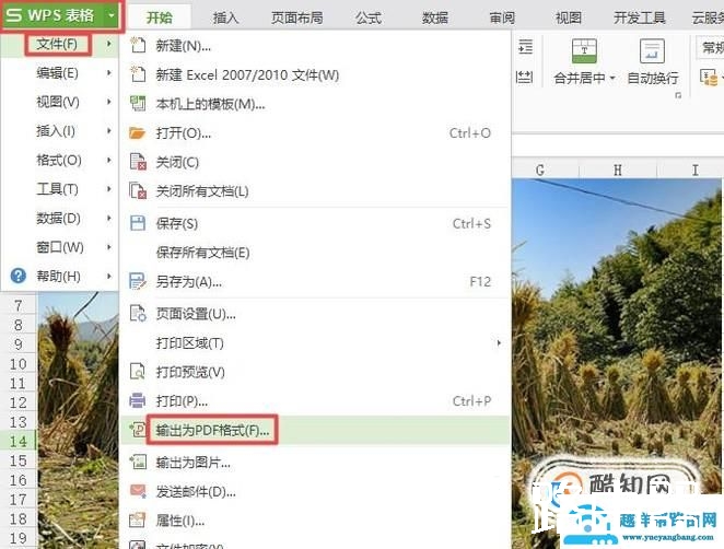 怎样把图片制作成PDF电子文件