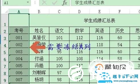 Excel表格如何冻结行和列？