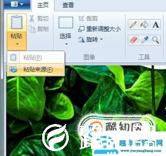 用画图工具将两张图片合成一张图片