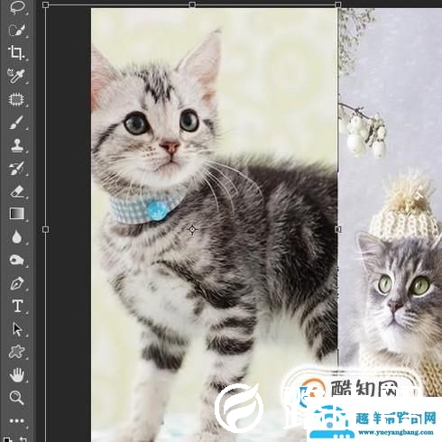 ps中怎么将图片合在一起？