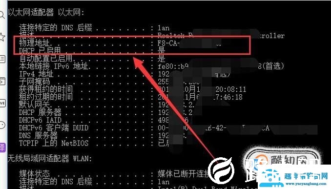 怎么查看mac地址