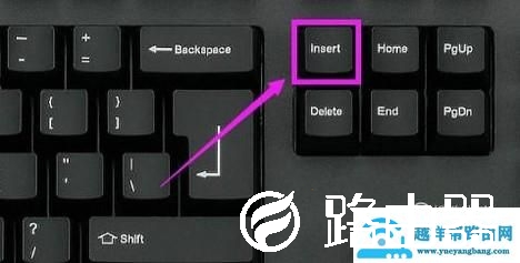 Word中输入文字覆盖后面的文字怎么办