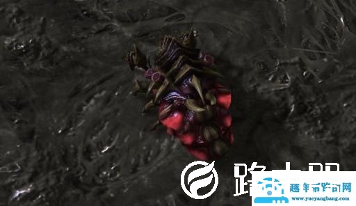 星际2破解版能玩吗（星际争霸2人族基本打法）(2)