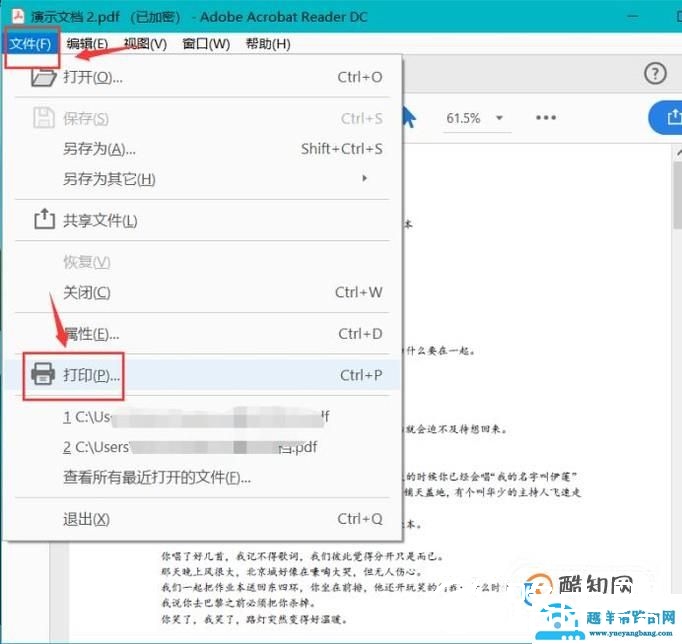 怎么打印已经加密的pdf文件