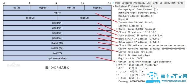 一分钟看搞懂DHCP 工作原理