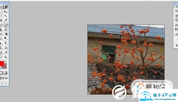 ps中的恢复操作：恢复一步或几步