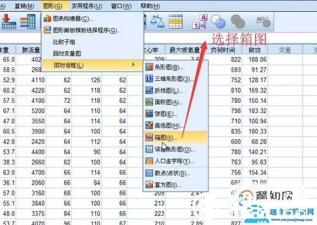 SPSS中如何绘制箱图