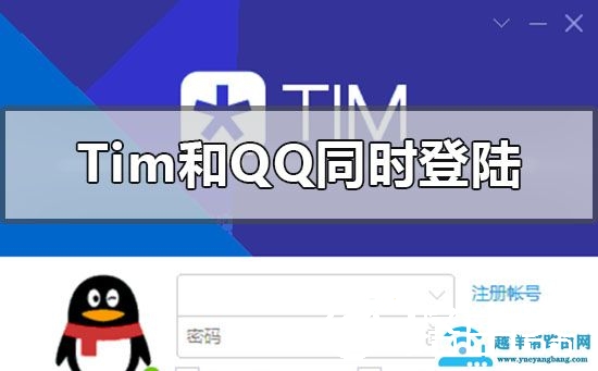 tim和qq能同时登陆吗