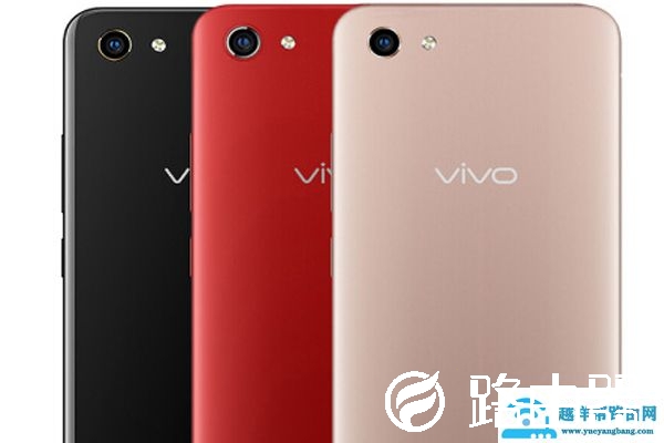 vivoy81支持快充吗