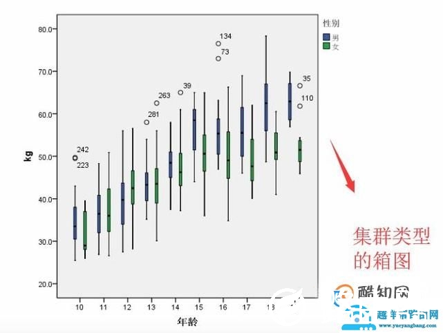 SPSS中如何绘制箱图
