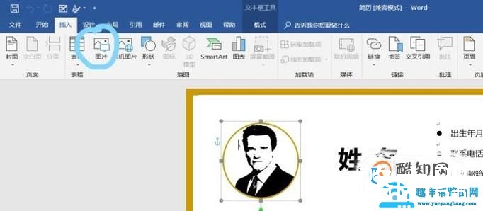 如何在word简历表中插入照片？