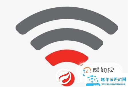 为什么连上了wifi却没有网
