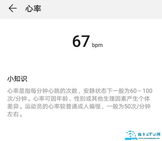 荣耀智能体脂秤WiFi版评测：17项身体指标 比你更懂你