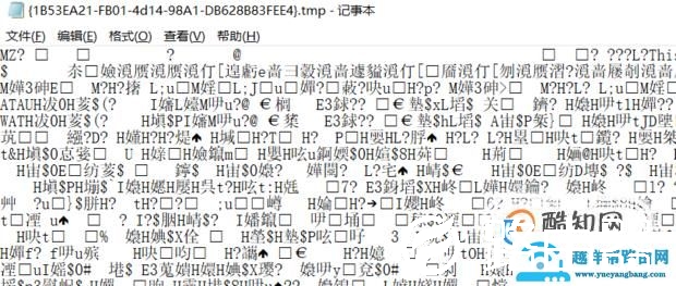 tmp格式文件怎么打开，tmp文件用什么软件打开