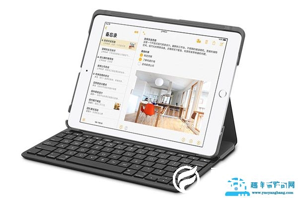 ipad信任设置在哪里