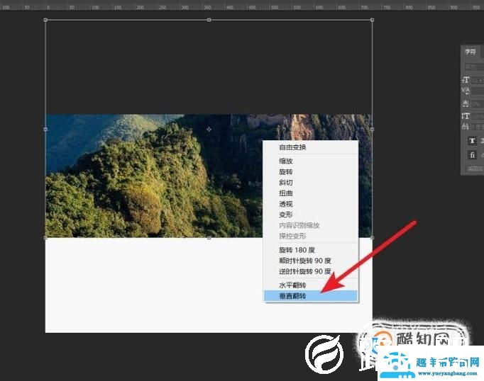 怎样用ps做镜像效应？