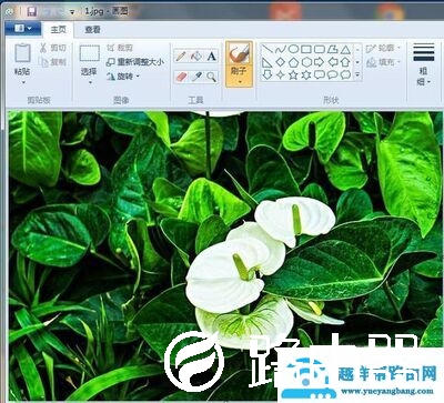 用画图工具将两张图片合成一张图片