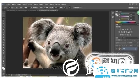 PS如何把照片背景变成白色