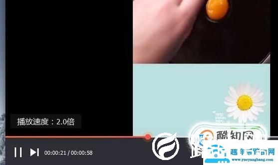 下载到电脑上的视频如何进行倍速播放