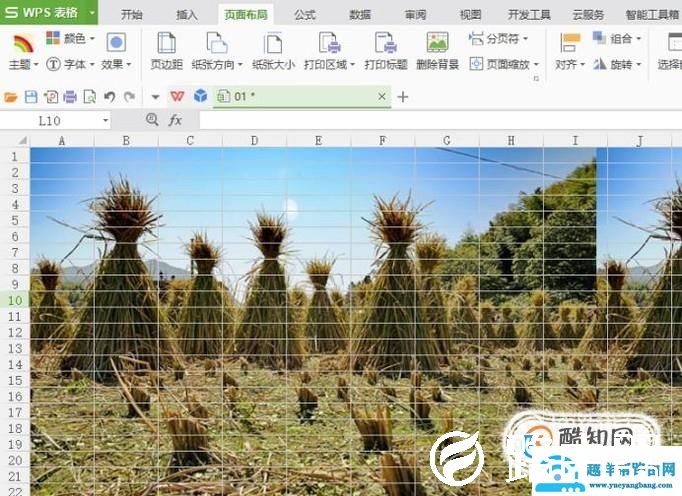 怎么样在wps中添加背景图和删除背景图？