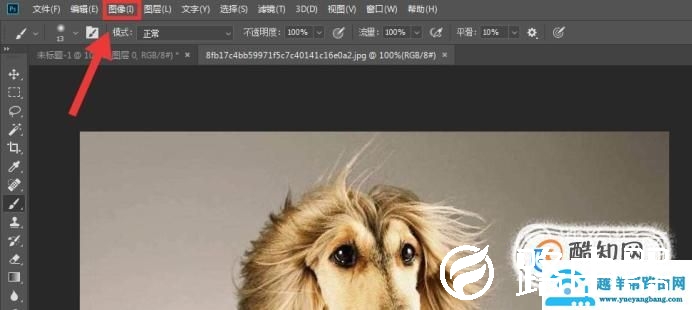 ps如何镜像旋转图片