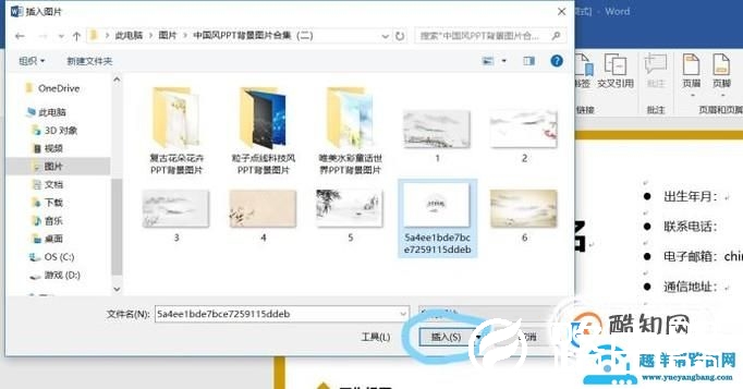 如何在word简历表中插入照片？