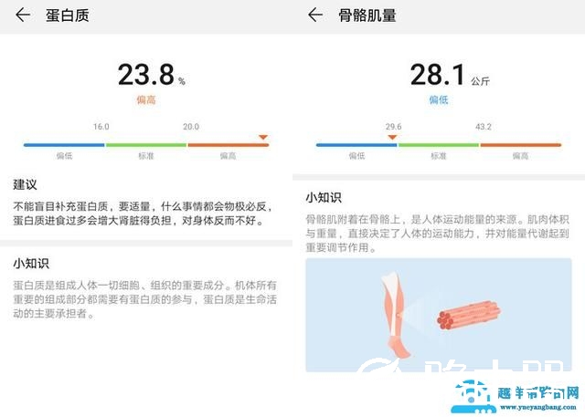 荣耀智能体脂秤WiFi版评测：17项身体指标 比你更懂你