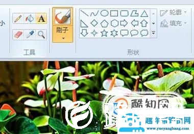 电脑图片在画图中如何添加文字