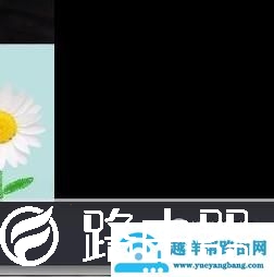 下载到电脑上的视频如何进行倍速播放