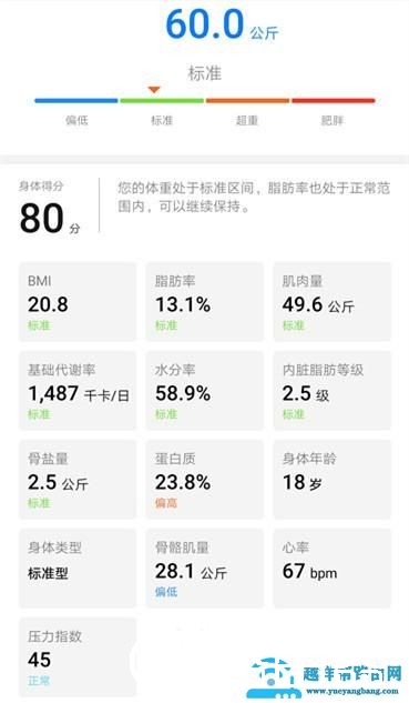 荣耀智能体脂秤WiFi版评测：17项身体指标 比你更懂你