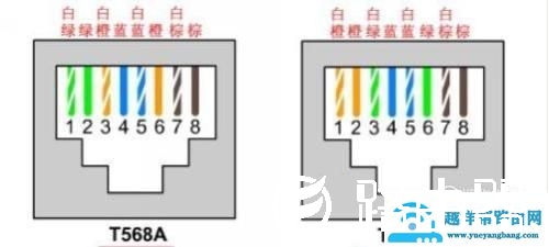 网线的四芯接法以及八芯接法