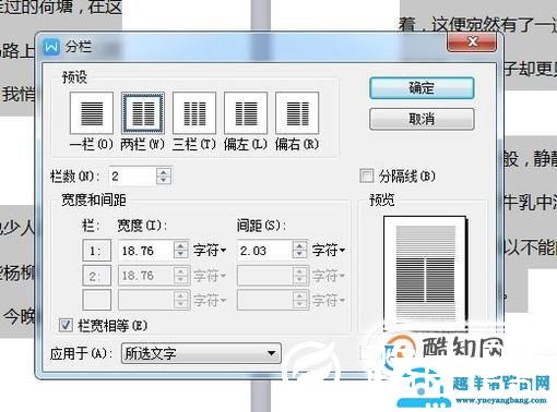 WPS文字怎么设置分栏并排版？