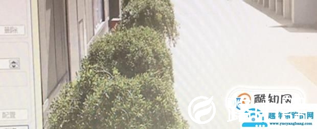 如何查看监控回放录像?