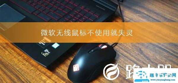 微软无线鼠标不使用就失灵