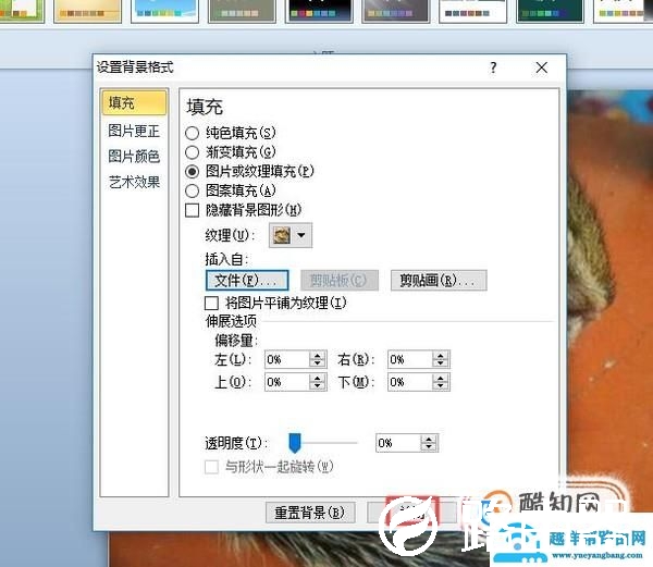 怎么把ppt的背景复制到另一个