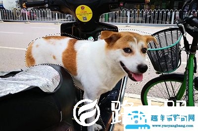 PS如何虚化背景突出人物