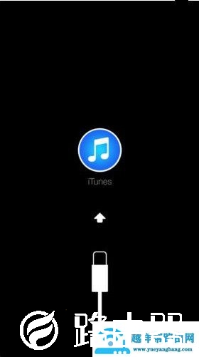 手机显示itunes是什么意思