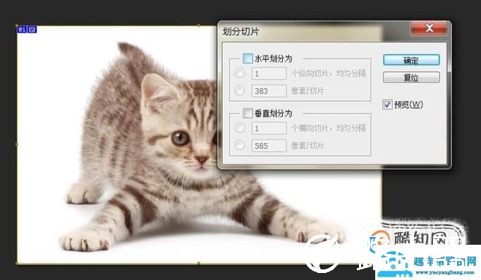 怎样用ps把一张图片切割成几张小图片
