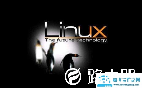 linux的虚拟内存机制