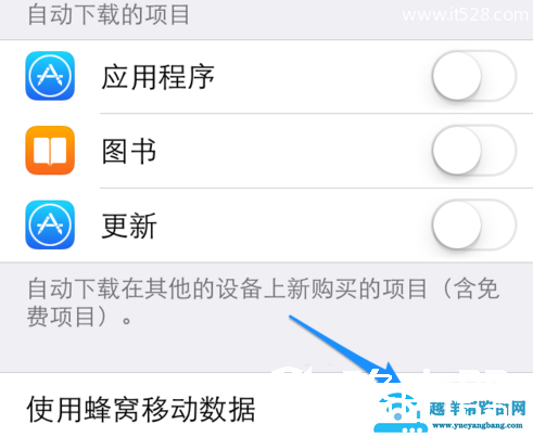 关闭iPhone程序自动更新方法
