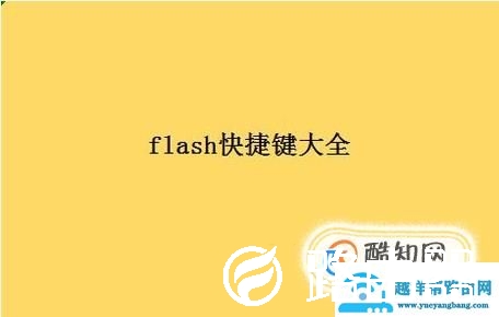 flash快捷键大全