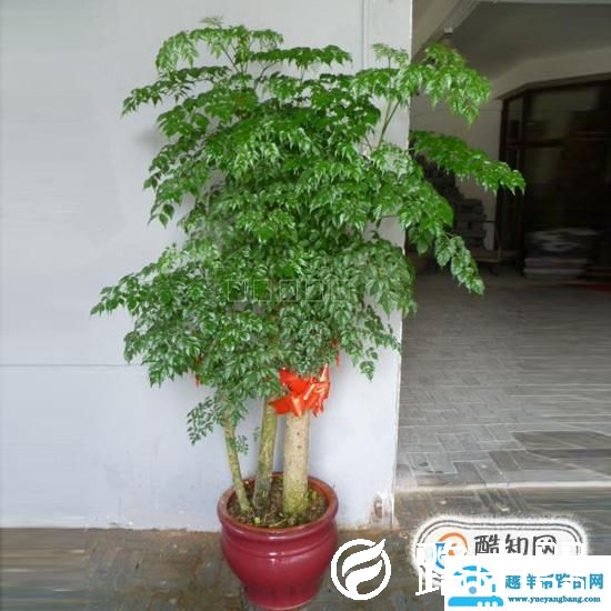 如何清理电脑主机内的灰尘