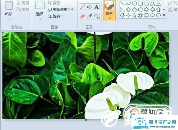 用画图工具将两张图片合成一张图片
