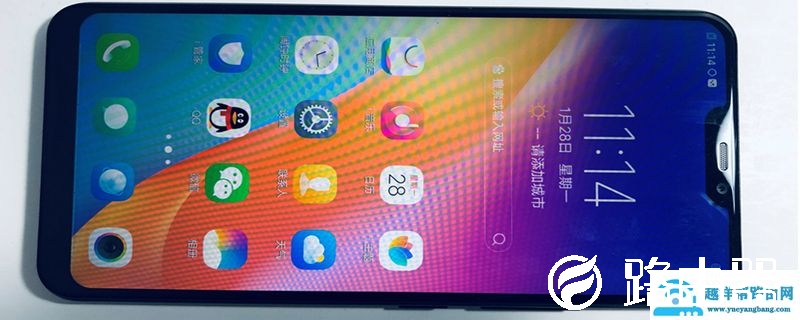 vivoy81支持快充吗