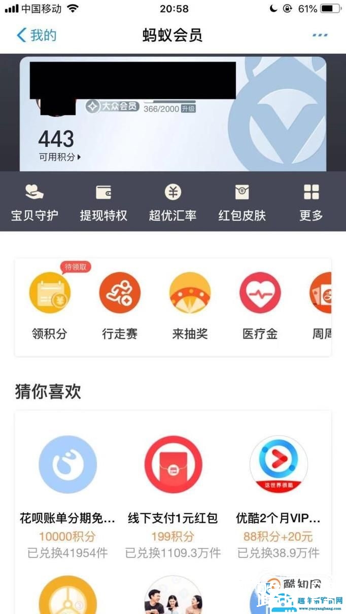 怎么查看支付宝蚂蚁会员等级及积分