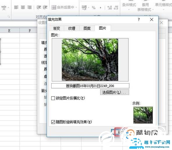 如何在excel表格的批注中插入图片
